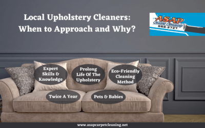 Local Upholstery Cleaners: When to Approach and Why?