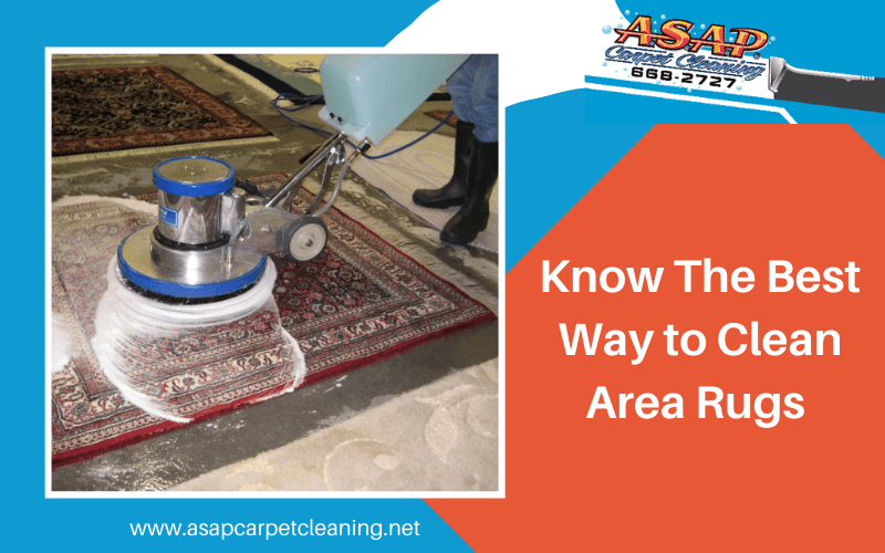 Know The Best Way to Clean Area Rugs