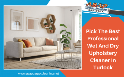 Pick The Best Professional Wet And Dry Upholstery Cleaner In Turlock