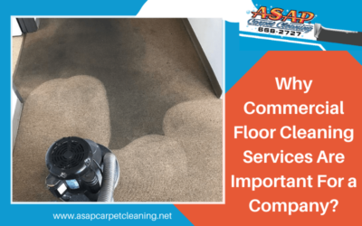 Why Commercial Floor Cleaning Services Are Important For a Company?