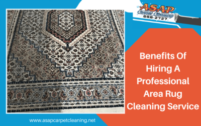 Benefits Of Hiring A Professional Area Rug Cleaning Service