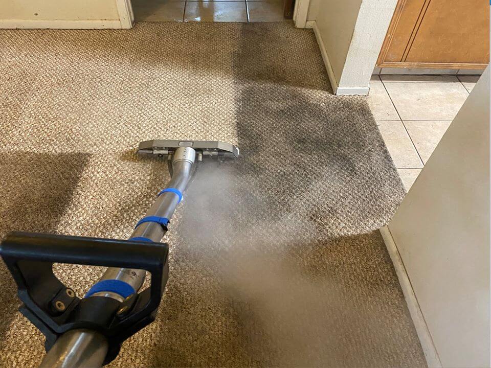 Why It Is Good To Have Clean Carpets