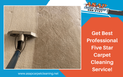 Get Best Professional Five Star Carpet Cleaning Service!