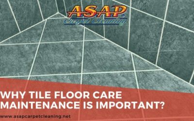 Why Tile Floor Care Maintenance Is Important?