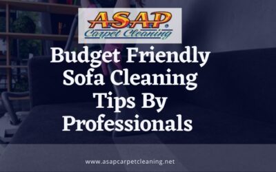 Budget Friendly Sofa Cleaning Tips By Professionals
