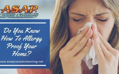 Do You Know How To Allergy Proof Your Home?