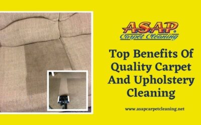 Top Benefits Of Quality Carpet And Upholstery Cleaning