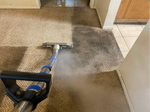 Carpet Sanitizing Service