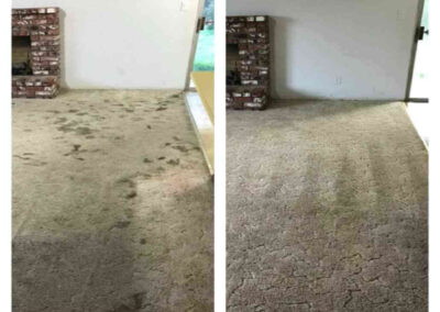 Low Moisture Carpet Cleaning Turlock