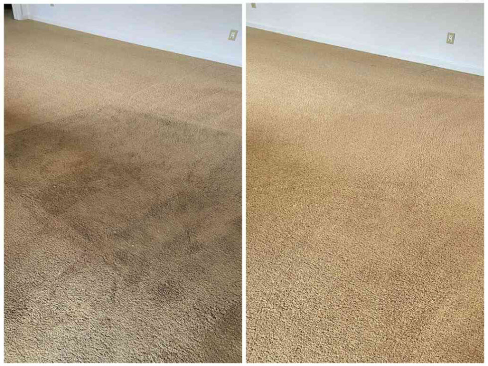 Allergy Relief ASAP Carpet Cleaning Turlock 2096682727