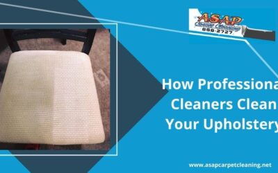 How Professional Cleaners Clean Your Upholstery?