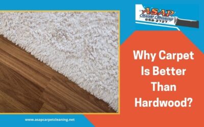 Why Carpet Is Better Than Hardwood?