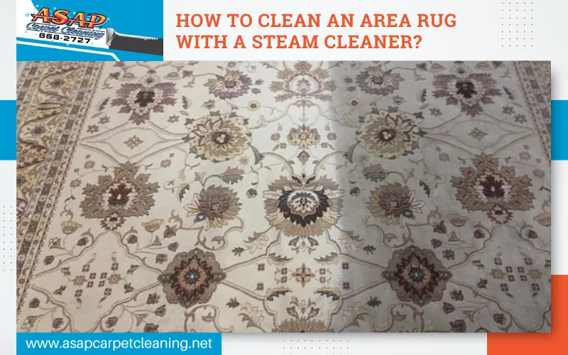 How To Clean An Area Rug With A Steam Cleaner?