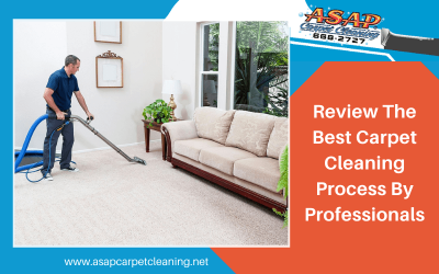 Review The Best Carpet Cleaning Process By Professionals