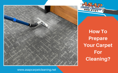 How To Prepare Your Carpet For Cleaning?