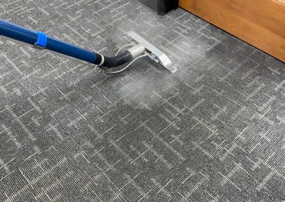 Professional Carpet Cleaning In Turlock Ca