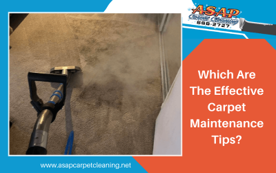 Which Are The Effective Carpet Maintenance Tips?