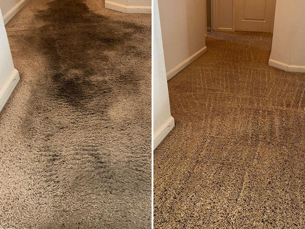 Professional Carpet Cleaning Result By Asap