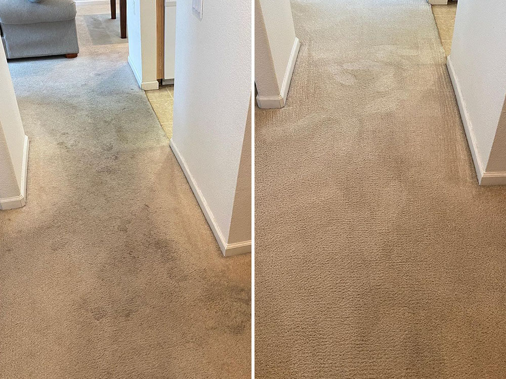 Before After Carpet Cleaning Turlock