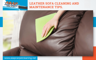 Leather Sofa Cleaning and Maintenance Tips.