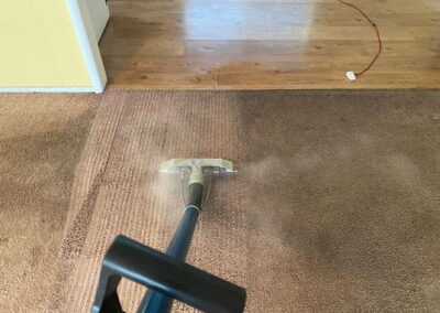 Carpet Cleaning Turlock
