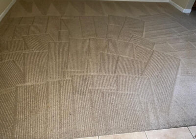 Asap Carpet Cleaning After