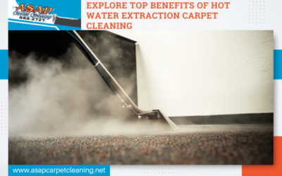 Explore Top Benefits of Hot Water Extraction Carpet Cleaning
