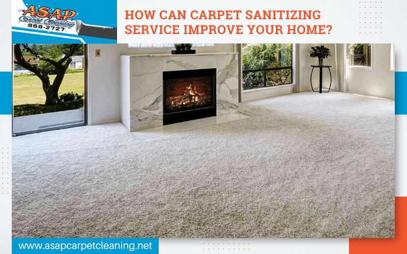 How Can Carpet Sanitizing Service Improve Your Home?