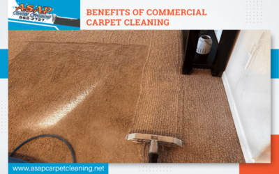 Benefits Of Commercial Carpet Cleaning