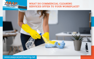 What Do Commercial Cleaning Services Offer To Your Workplace?