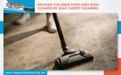 Reasons You Need Your Area Rugs Cleaned by ASAP Carpet Cleaning