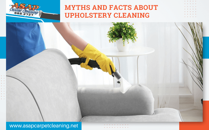 Myths And Facts About Upholstery Cleaning