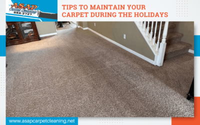 Tips To Maintain Your Carpet During The Holidays