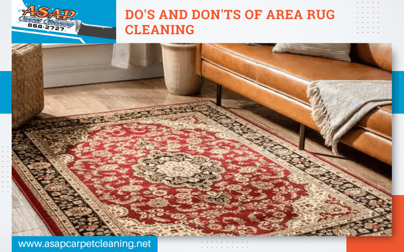 DOS and DON'TS of Area Rug Cleaning