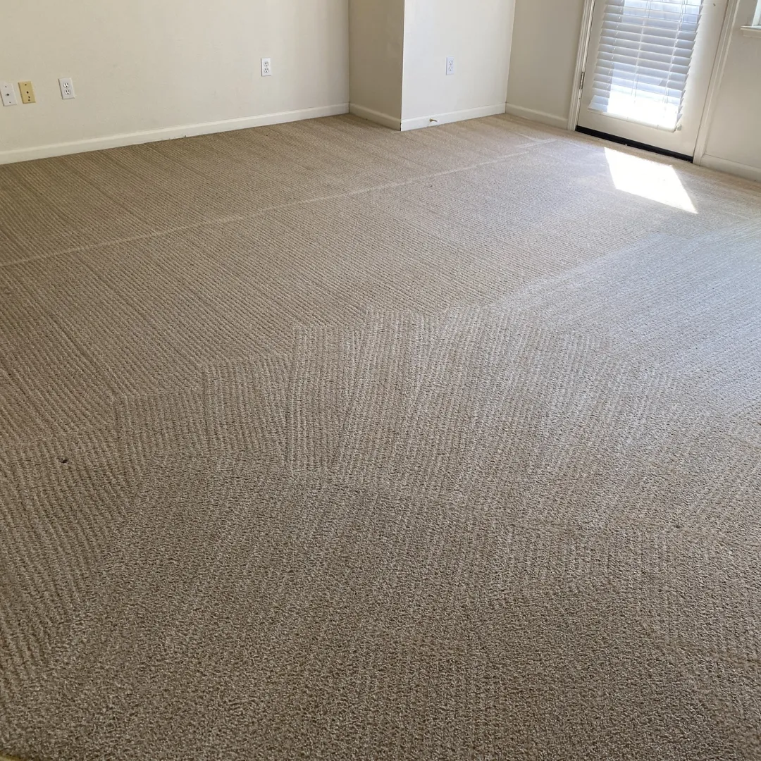 After Carpet Cleaning (1)