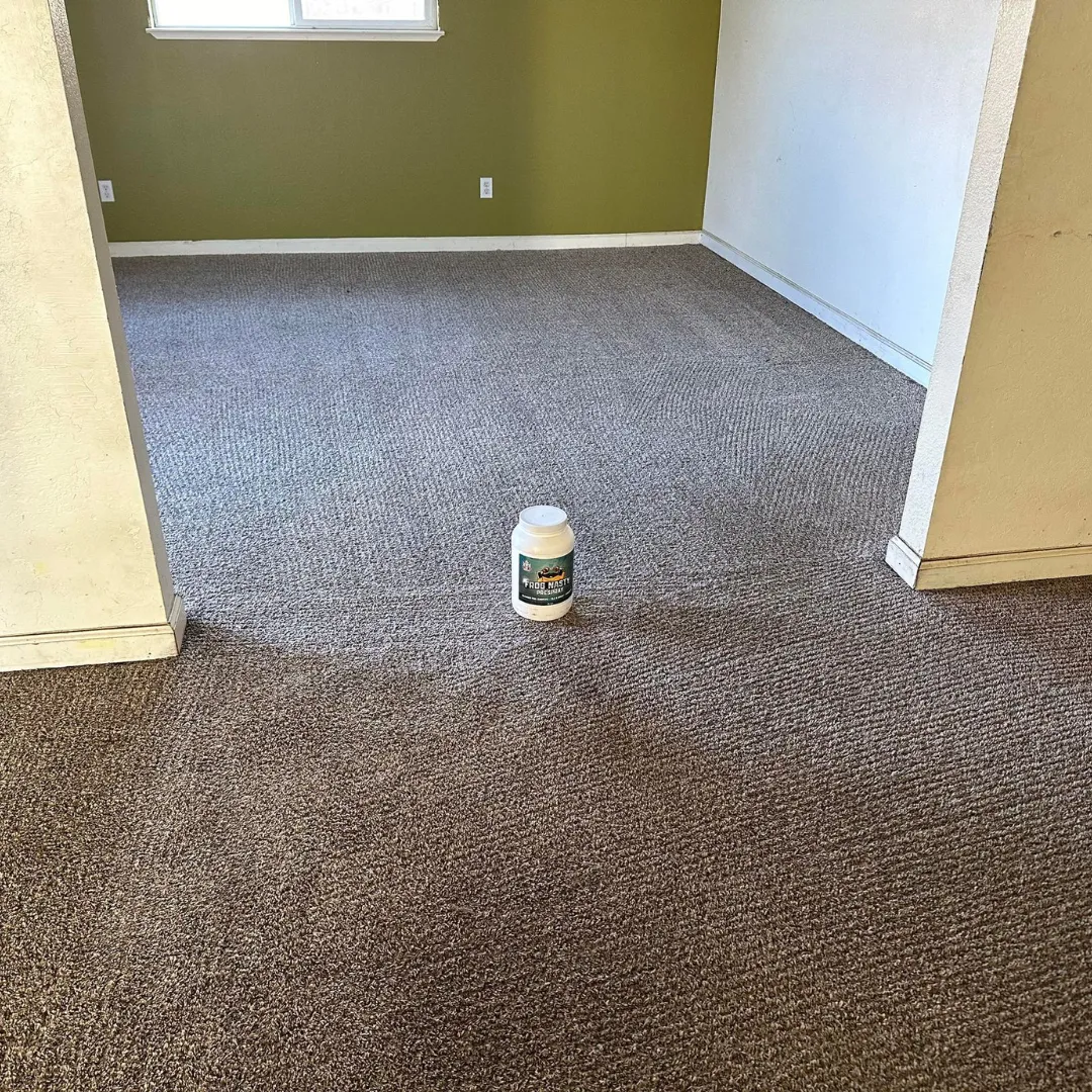 After Carpet Cleaning (2)