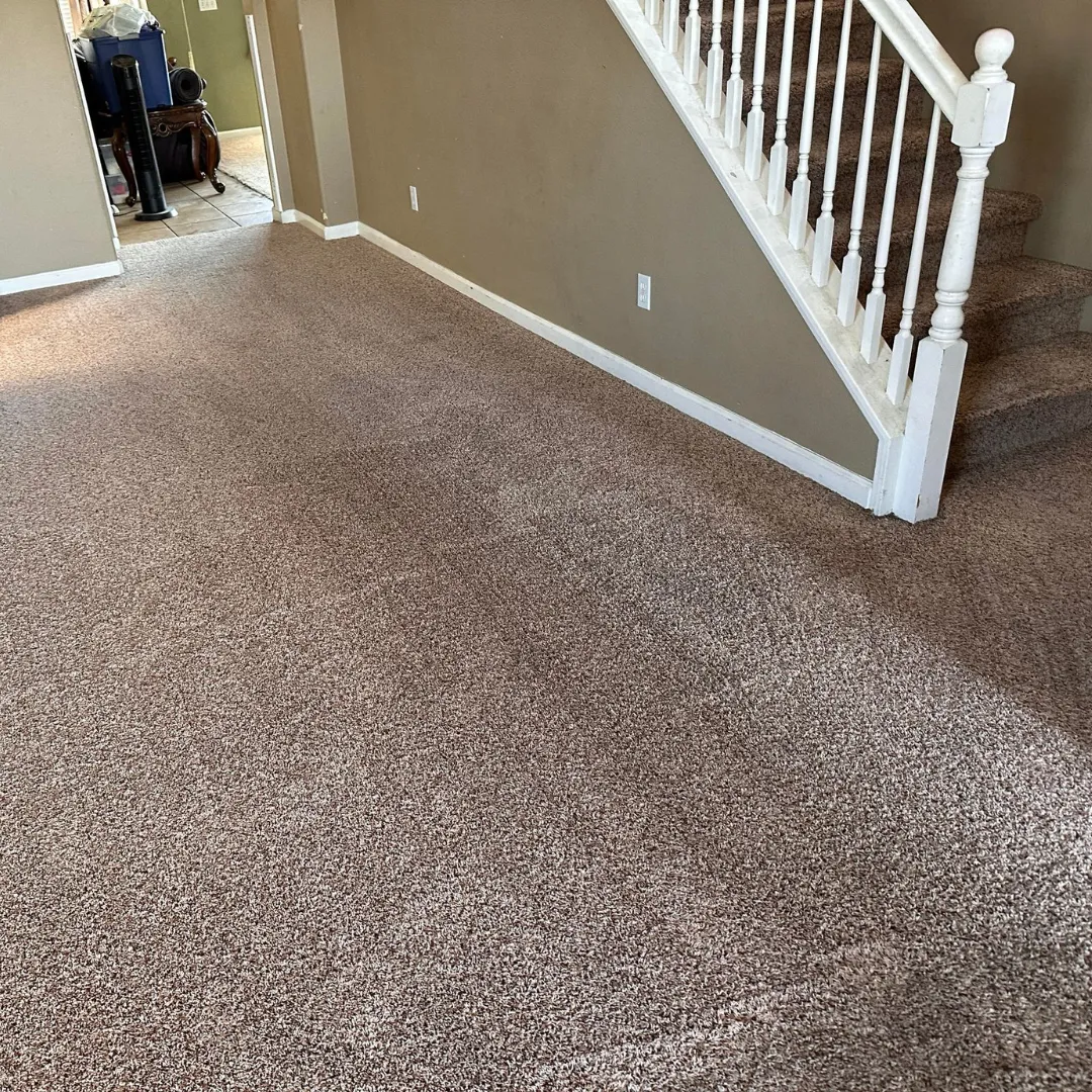 After Carpet Cleaning (3)