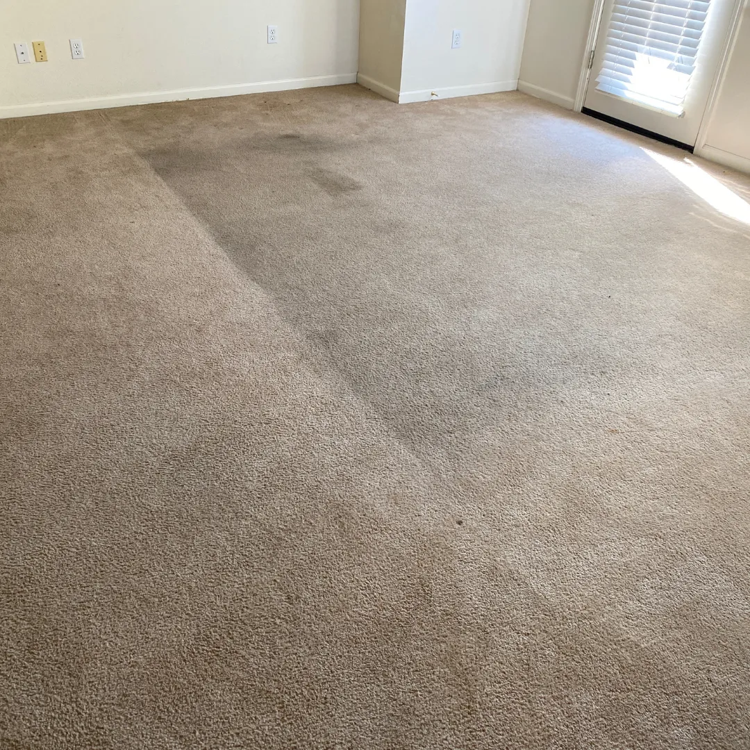 Before Carpet Cleaning (1)