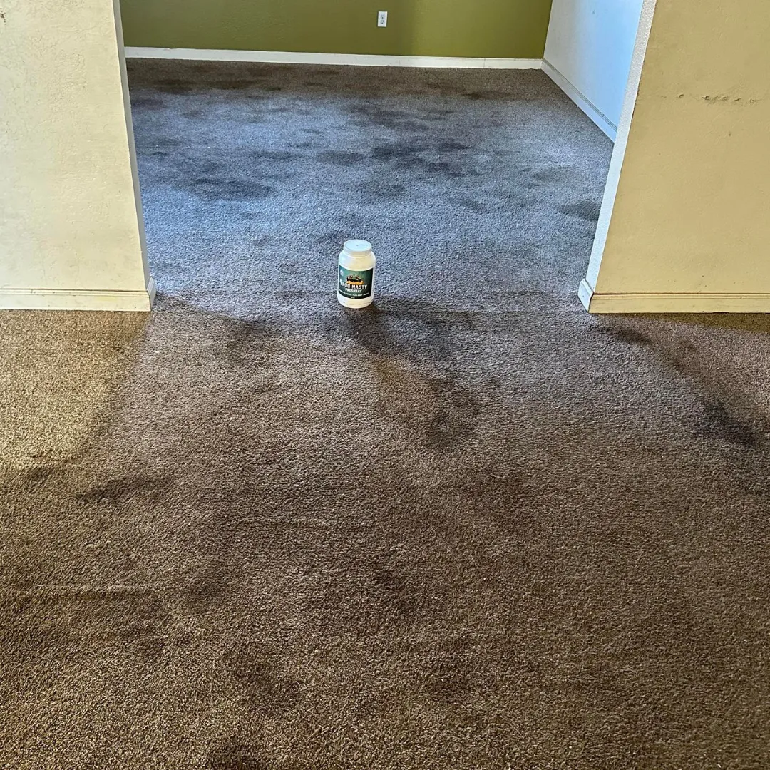 Before Carpet Cleaning (2)