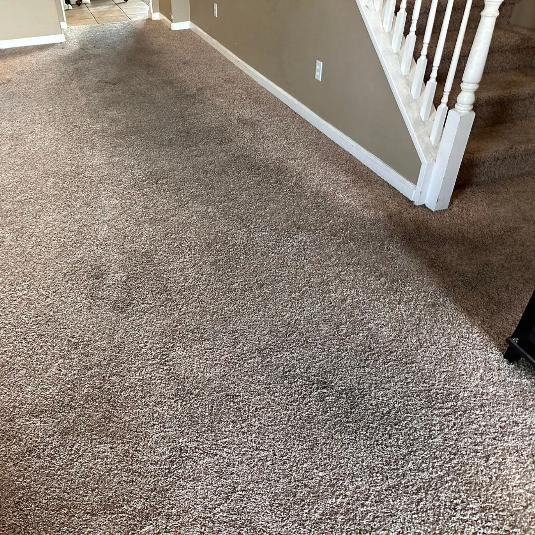 Before Carpet Cleaning (3)